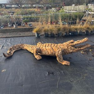 Crocodile Sculptures